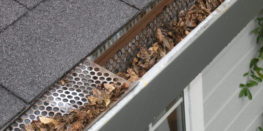 leaves in guttering