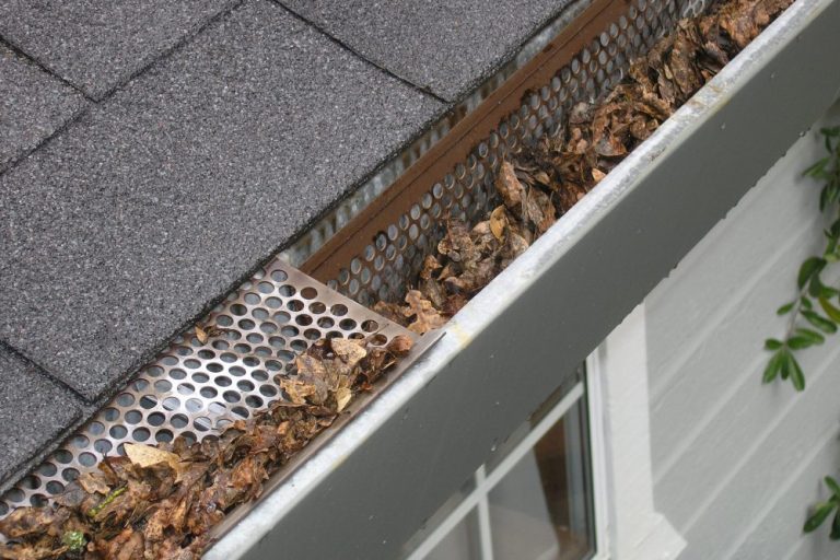 leaves in guttering